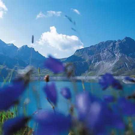 Haus Alvier By A-appartments * Brand (Vorarlberg)